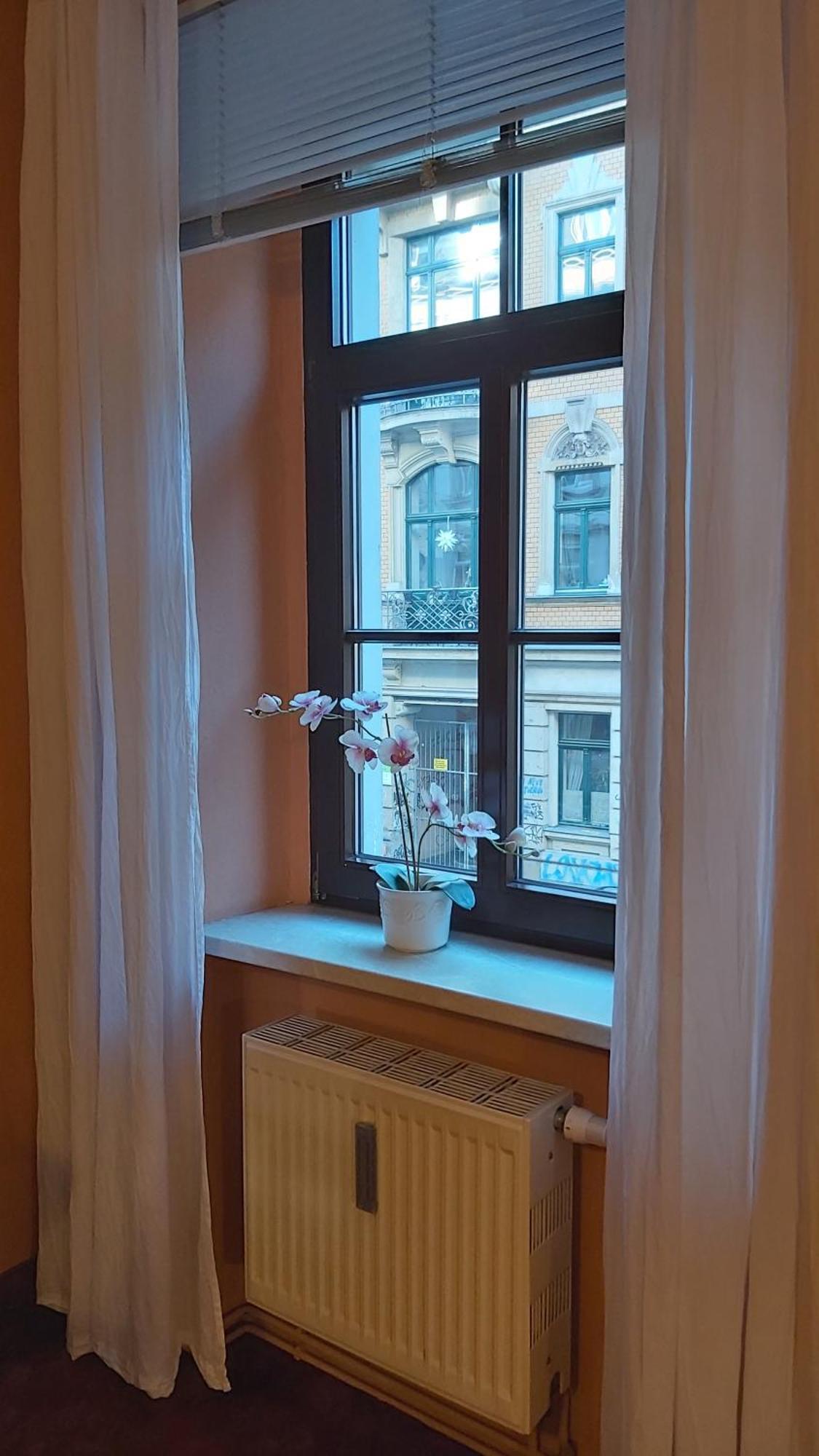 City-Ferienwohnungen-Dresden - Zentral Gelegen Im Haus Louisenstrasse 11 - Dresden-Neustadt 外观 照片