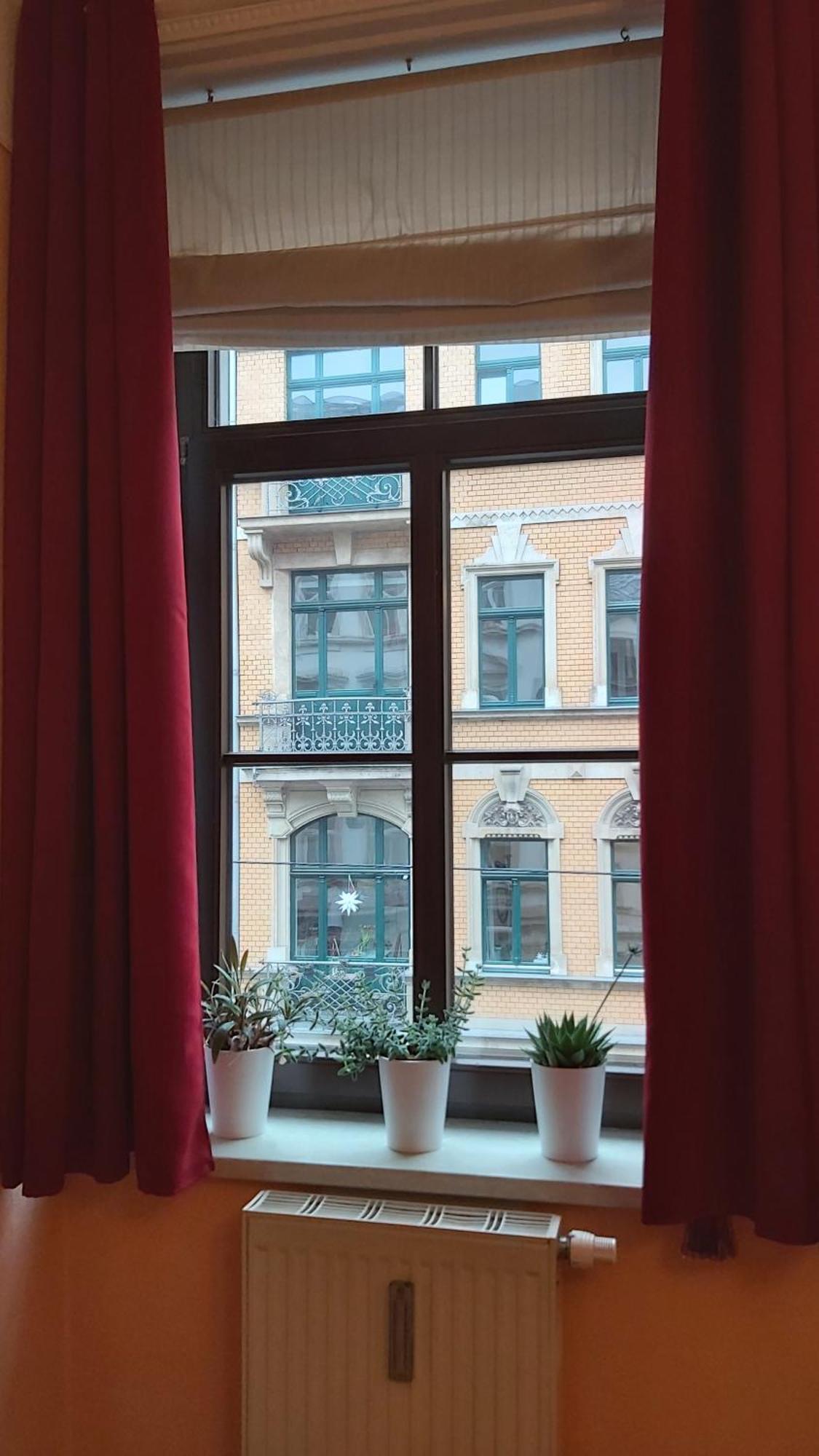 City-Ferienwohnungen-Dresden - Zentral Gelegen Im Haus Louisenstrasse 11 - Dresden-Neustadt 外观 照片